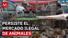 El ciclo que no termina: así regresan traficantes de animales a El Baratillo tras decomisos