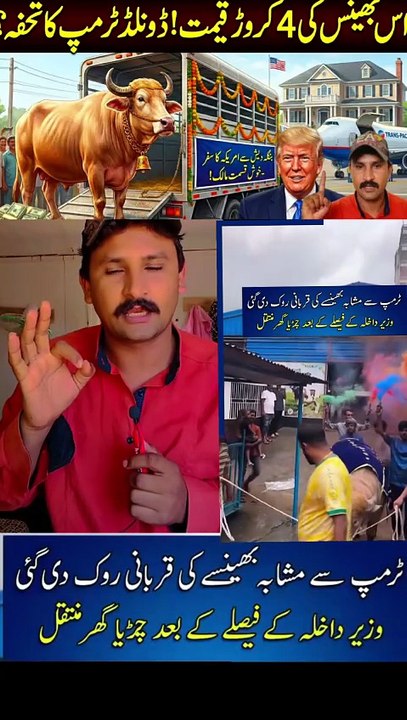 ڈالر ٹرمپ میں دنیا کو حیران کر دیا نیا بیان جاری کر دیا اور انوکی ایک بھینس بنگلہ دیش