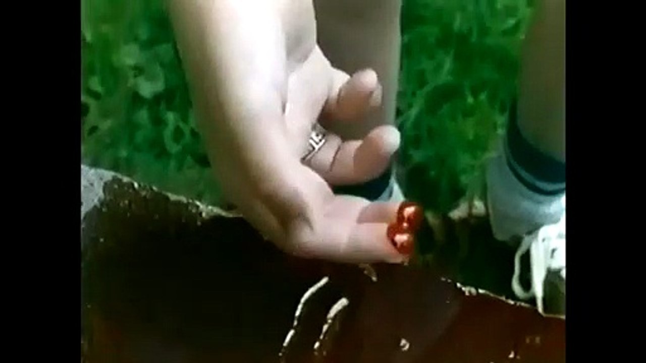 Goosebumps: The Cuckoo Clock of Doom (1995)