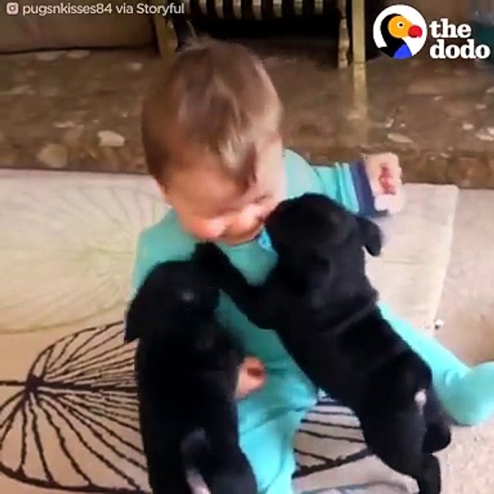 Cani e bambini, coccole infinite