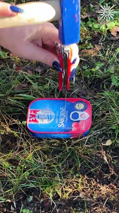 Essential hacks for a delightful day outdoors! 🌲🔥