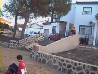 Mini 1er Sampler [Lh] 2007