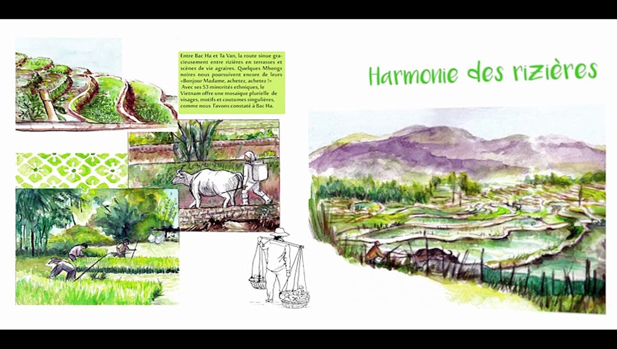 Video Livre Vietnam