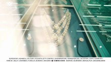 Grand Opening | Best Silver Shop in Raigarh | Shyam Sundar Chandiwala