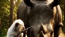 White Monkey vs Rhino: The Most Epic Jungle Battle