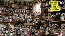 #YourEyesVsTheRaccoons 👀⚔️🦝 Can You Find the Real Raccoon? 🦝