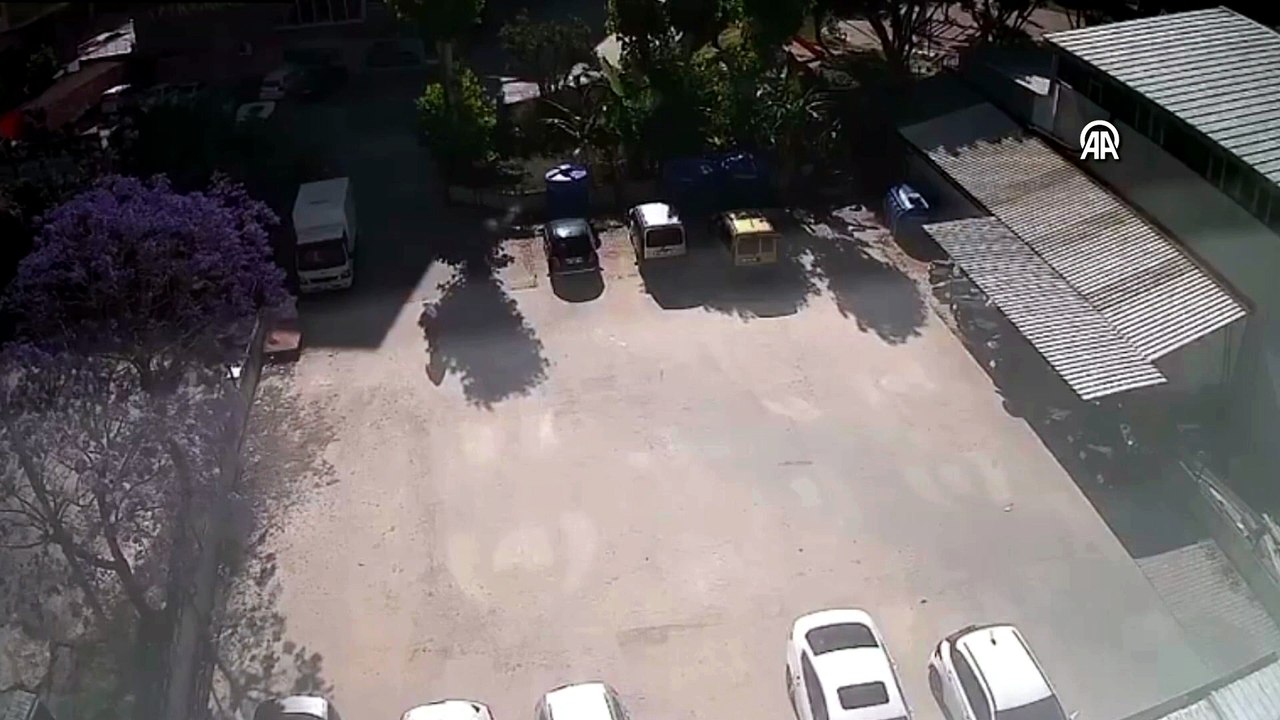 Sokak kedileri için mama kapları çalındı: O anlar güvenlik kamerasında