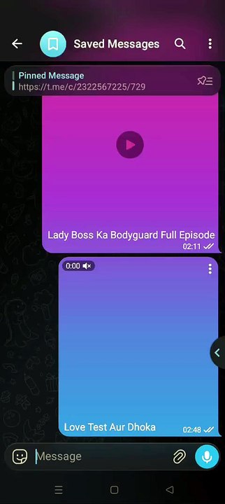 1000127833