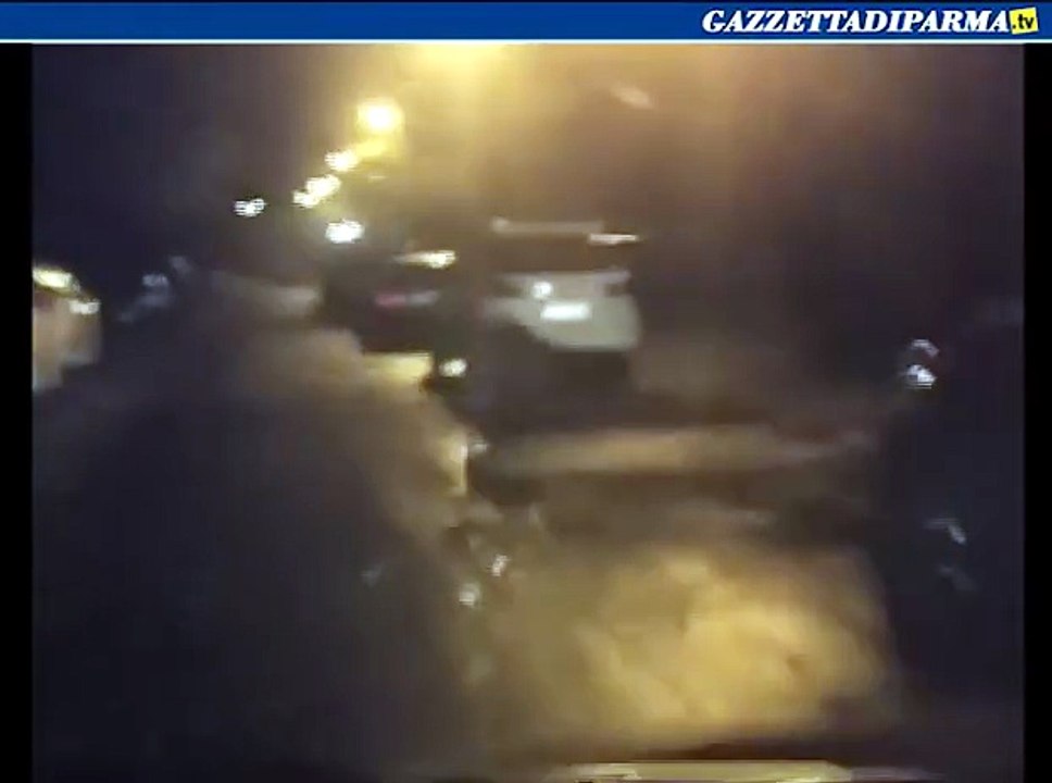 Un cinghiale in città...?