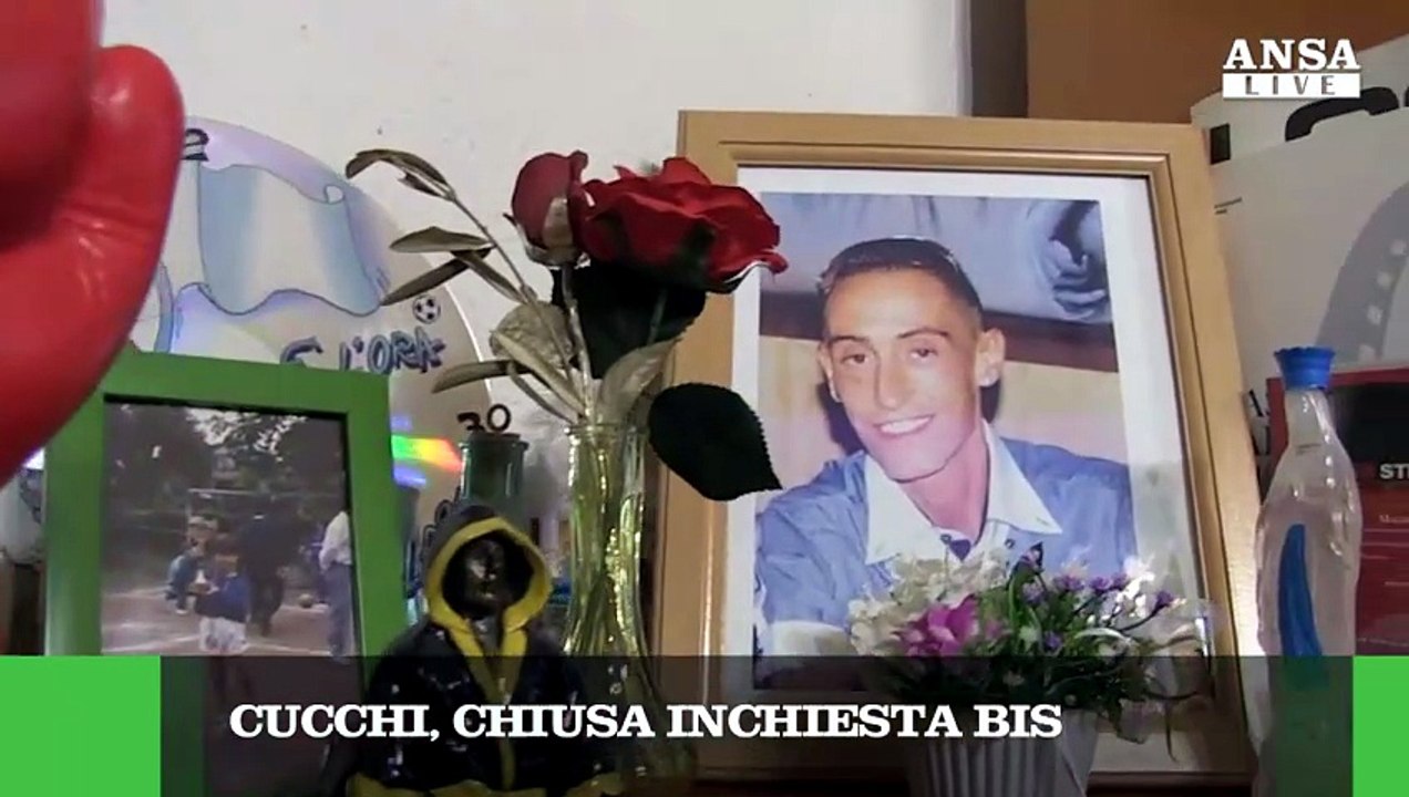 ANSAtg delle ore 8