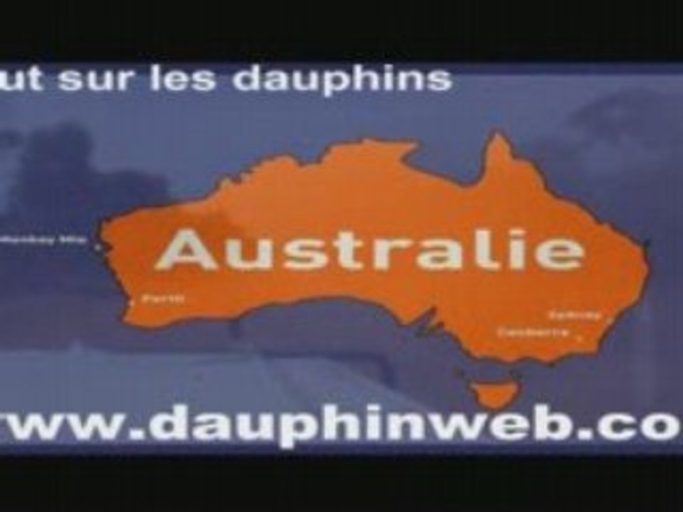 Les dauphins de Bunbury