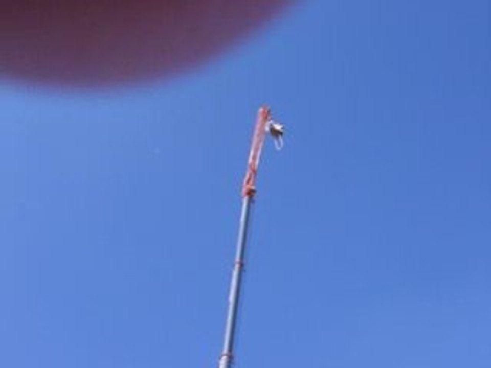 DEFQON1 2008 - Almere - NL