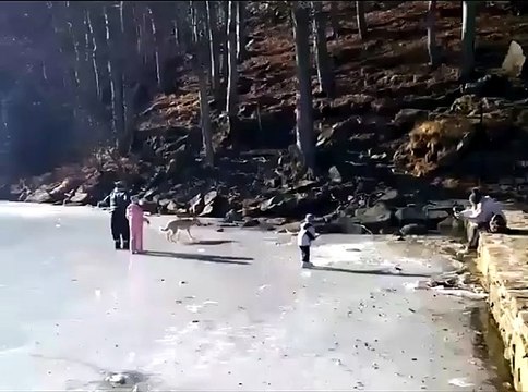 Il Lago Santo? Ghiacciato diventa un parco divertimenti Video