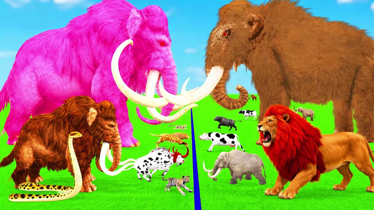 Animal Epic Mammoth Elephant Tiger Vs 5 Zombie Cow Bulls Attack Giant Snake Cow Save By pink Mammoth