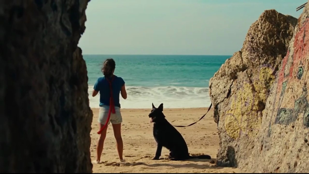 Ava (2017)