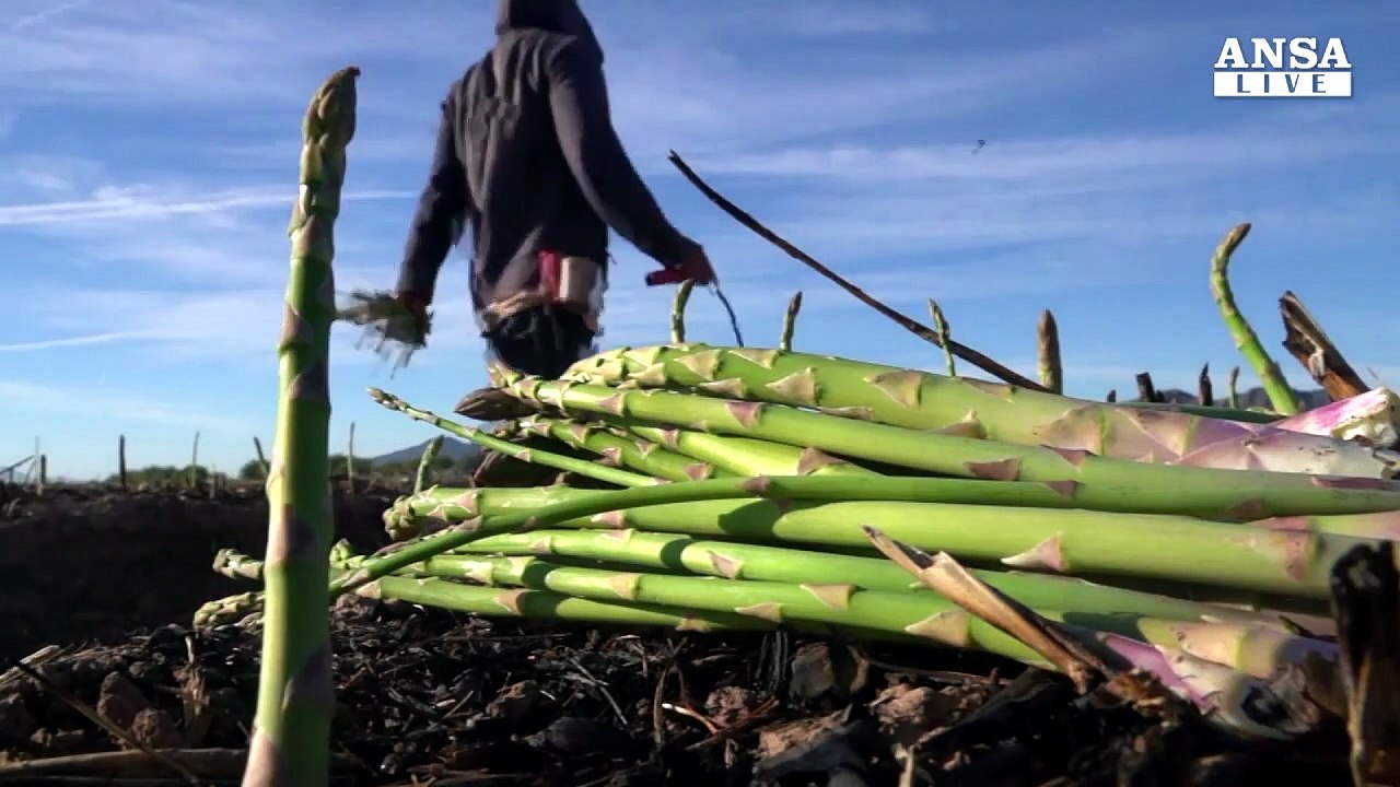 Maltempo, prezzi verdure alle stelle