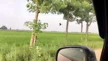 منتهاي کار، از خود رفتگان، معلوم نيست منزل اين کاروانها، از تصور برتر است