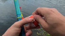 La pêche au kinder
