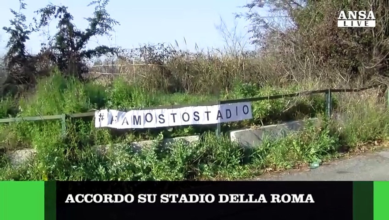 ANSAtg delle ore 12