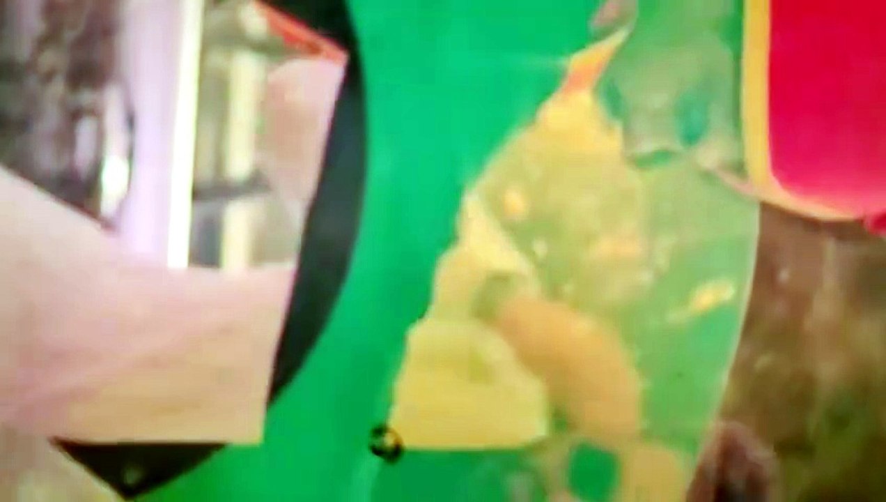 VID_20260601_022845924
