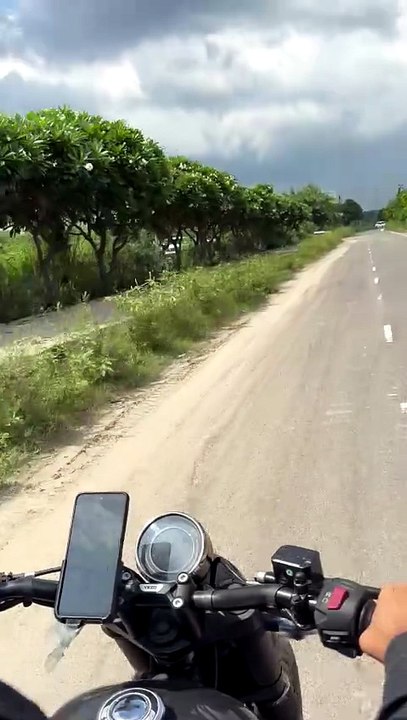 Rider
