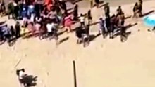 Criança de 11 anos é atacada por tubarão em praia turística