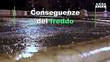 Conseguenze del freddo