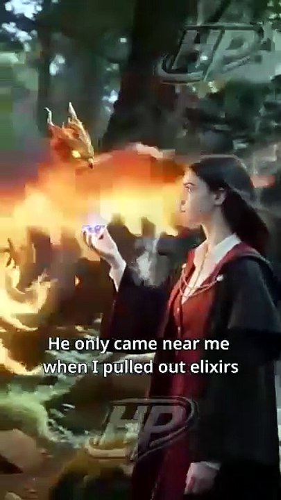 Rejecting The Phoenix Taming The Dragon Englishsub