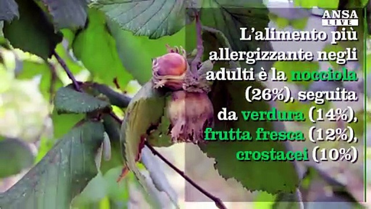 Le allergie in Italia