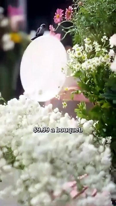 The Lie That Bound Us Chinese Drama #Engsub