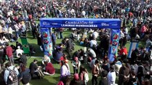Aunque "La Roja" no juegue: Más de 7 mil coleccionistas participan en el mayor intercambio de estampillas mundialistas en Chile