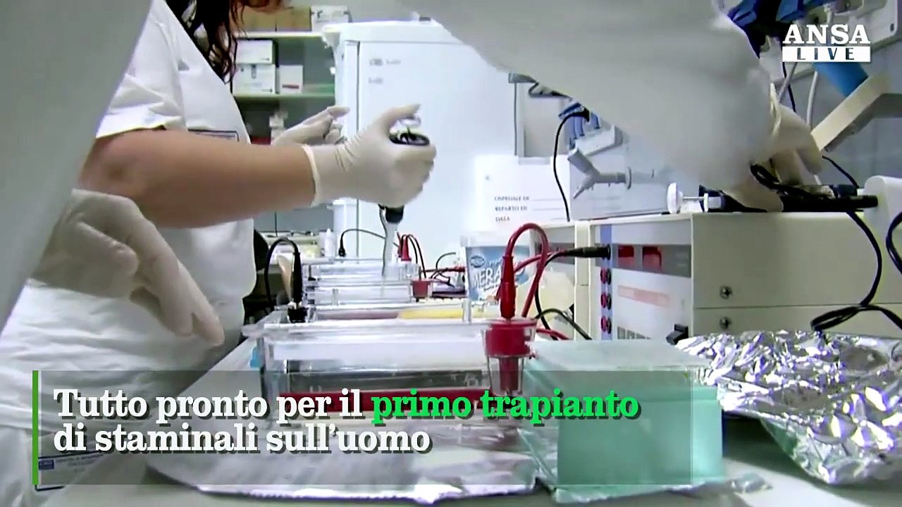 Staminali testate sull'uomo