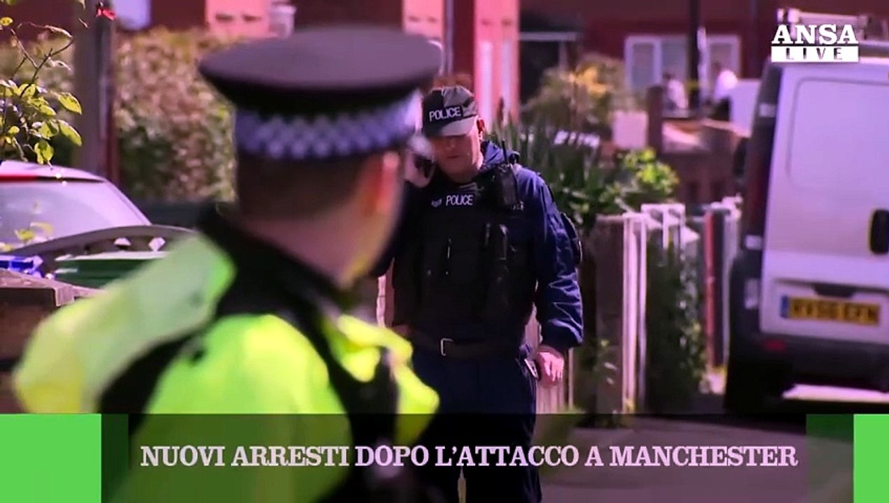 ANSAtg delle ore 8