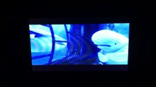 Finding Dory (2016) Lost In The Pipes/Dory Finds Marlin and Nemo Scene