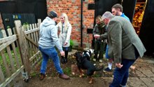 Dogs Behaving (Very) Badly - Season 8 Episode 10