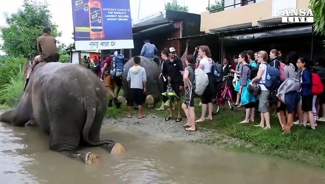Inondazioni Nepal, in campo anche gli elefanti
