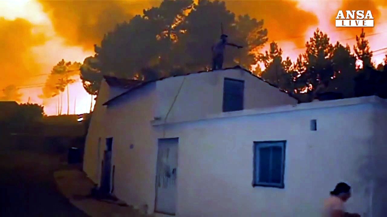 Incendi devastano Portogallo e Grecia