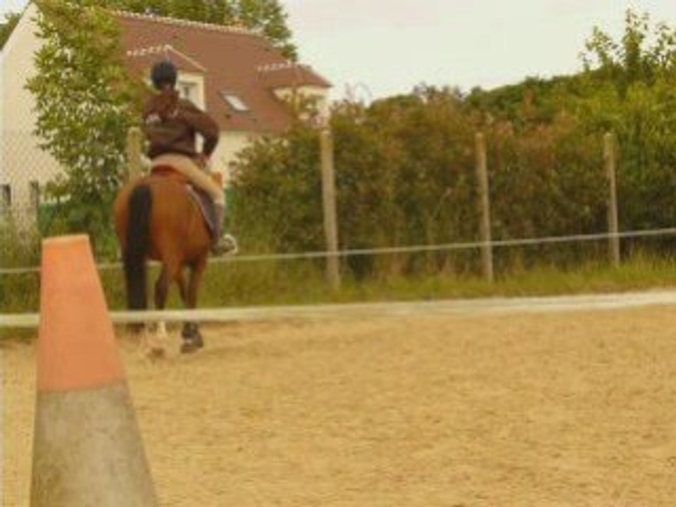 15 juin: séance etho pas top avec Flipp