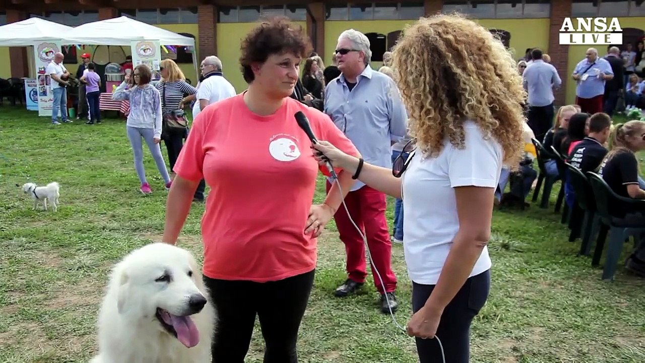 Cavalli e non solo, passione per gli animali e beneficienza
