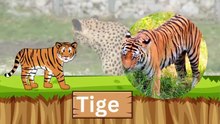 🐘 Learn Animal Names for Kids | Fun & Educational Animal Video 🦁