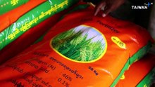 Myanmar Farmers Face Ruin as Middle East War Chokes Off Key Supplies
