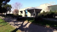 P.A: via societa' inutili, da pompe funebri a piscine