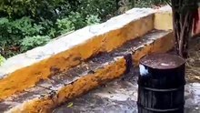 Village life