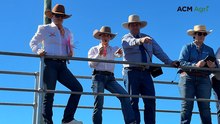 Meet the 19-year-old making waves as a rare female cattle auctioneer