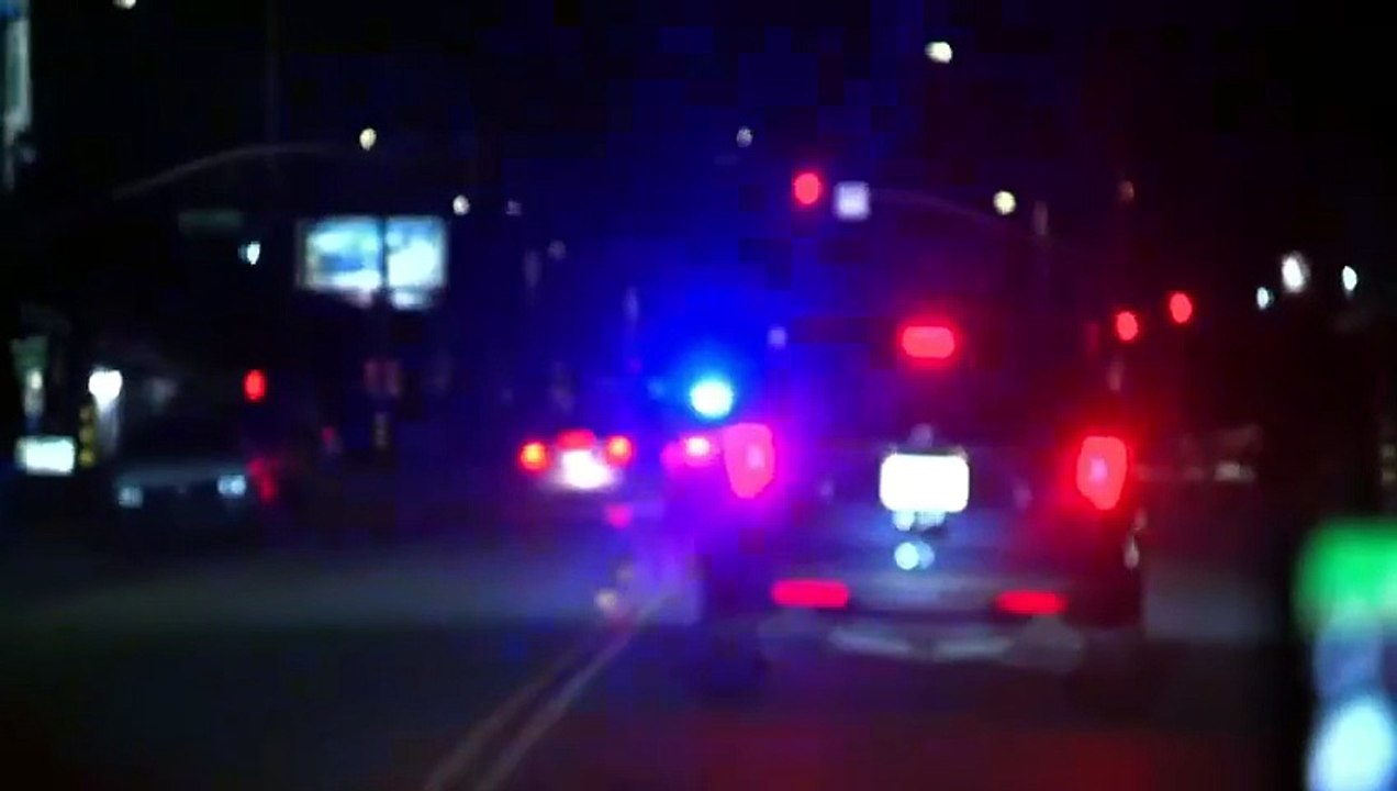 Cops Season 37 Episode 49