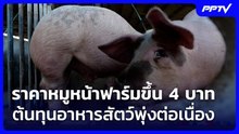 ราคาหมูหน้าฟาร์มขึ้น 4 บาท ต้นทุนอาหารสัตว์พุ่งต่อเนื่อง | เที่ยงทันข่าว | 1 มิ.ย. 69
