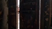 【短剧合集】 一品诰命，老太君重生侯府威武