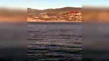 Hatay açıklarında sürpriz ziyaretçi: Akdeniz'de nadir görülen balina kamerada