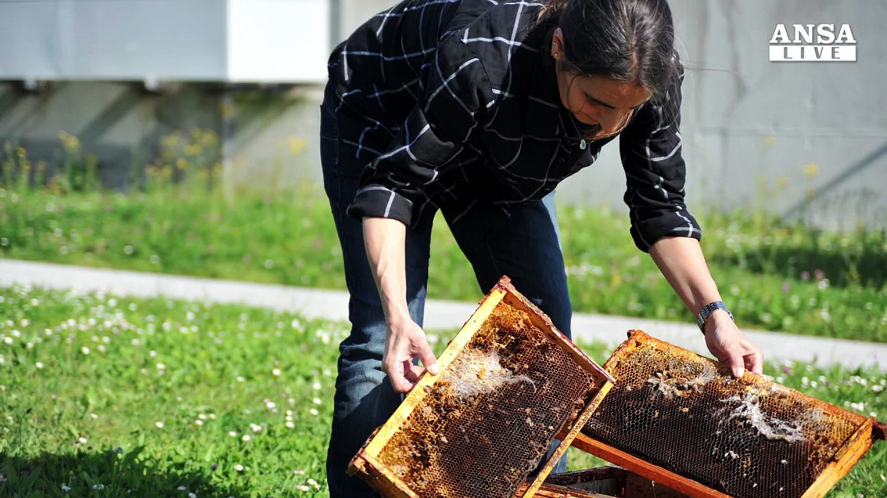 Bertocchini e il bruco che mangia la plastica
