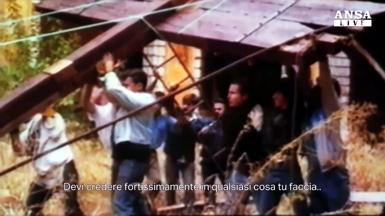 L'arte al cinema